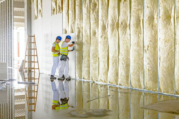 Best Attic Insulation Installation  in Vallejo, CA